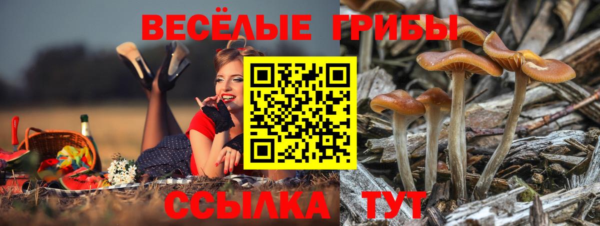 Галлюциногенные грибы Cubensis  Псилоцибиновые грибы Magic Shrooms  Вход с VPN  Старая Русса 