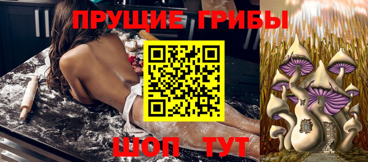 Псилоцибиновые грибы GOLDEN TEACHER Старая Русса